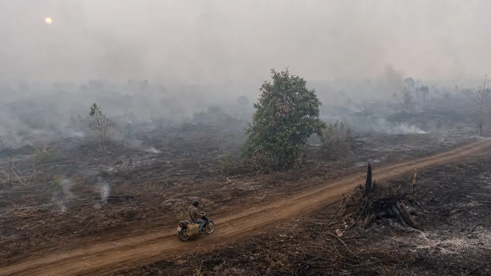 Indonesia se ahoga entre humo y llamas