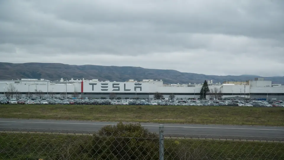 Tesla Recalls Three Million Cars Over Door Handle Risk